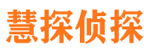 镇沅市调查公司